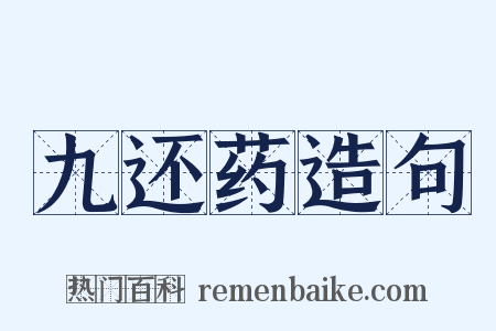 九还药造句是什么意思的图片